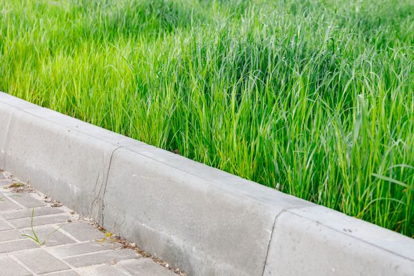 Cost of Concrete Curb Repair in Binghamton