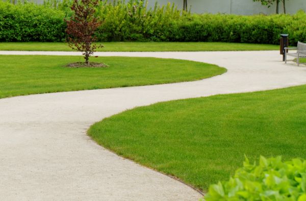 Cost of Walkway Repair in Binghamton